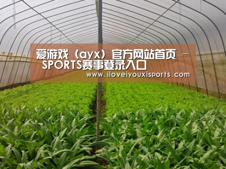 种植基地四