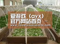 环境展示五