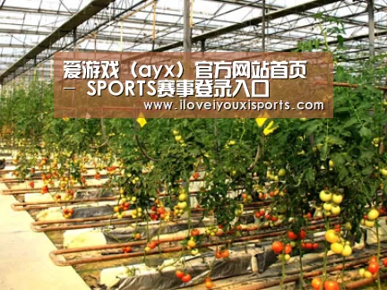 种植基地二(图1)