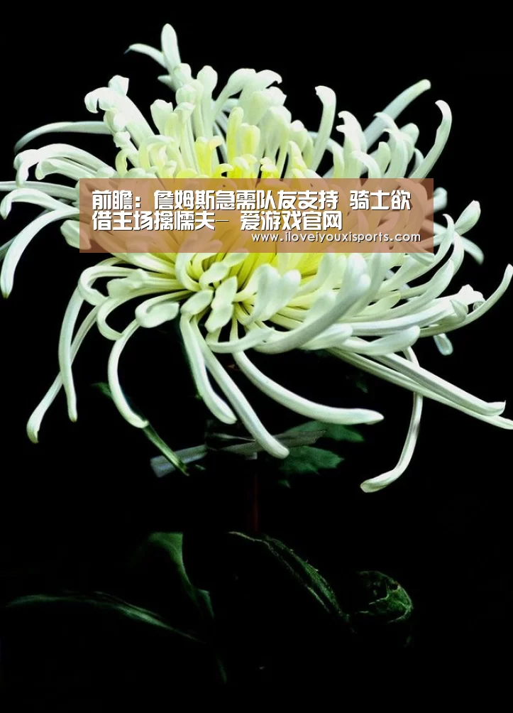前瞻:詹姆斯急需队友支持 骑士欲借主场擒懦夫- 爱游戏官网(图2) 爱游戏官网