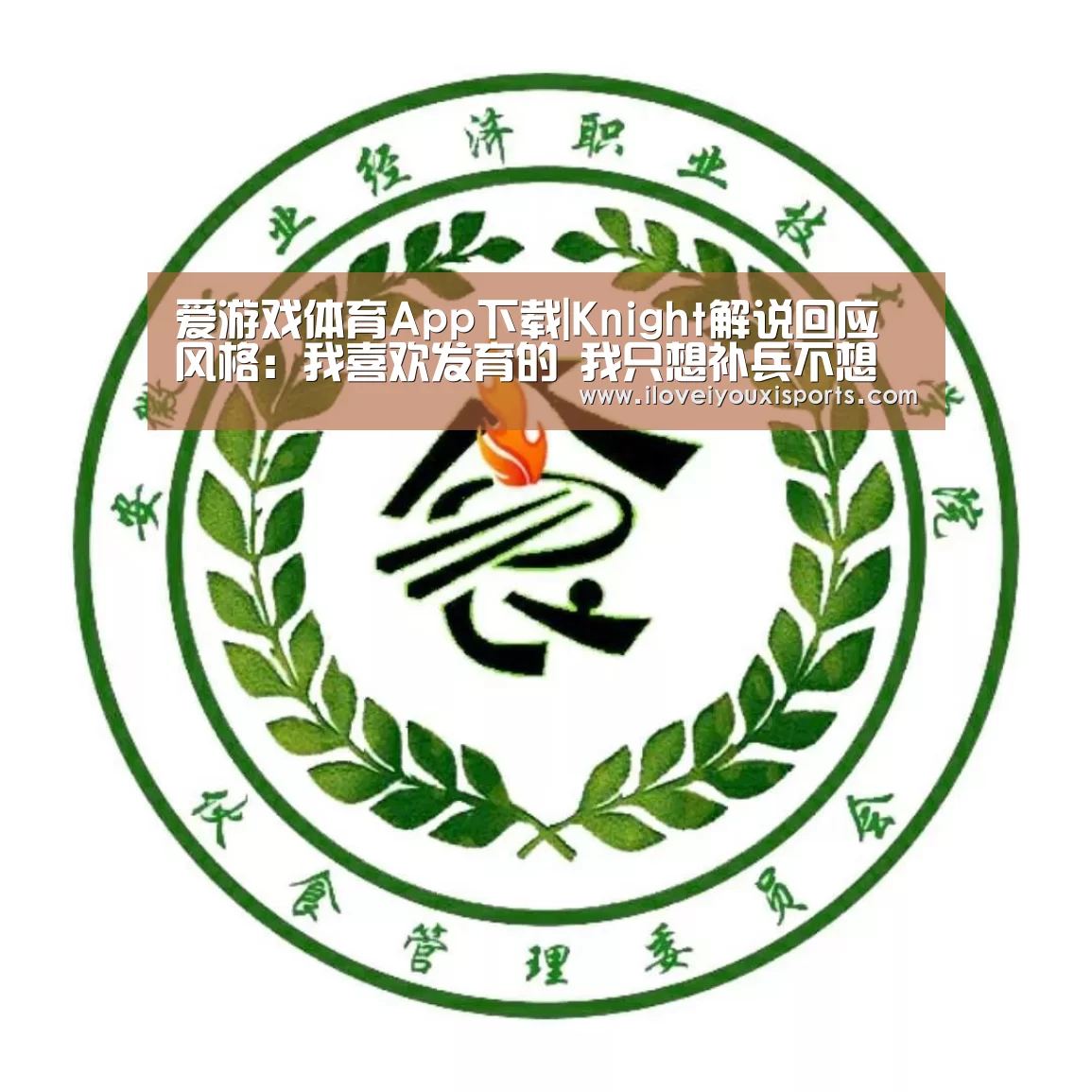  爱游戏官网