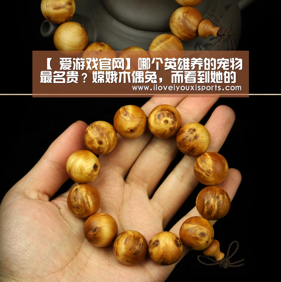 【 爱游戏官网】哪个英雄养的宠物最名贵?嫦娥木偶兔,而看到她的宠物就恶心想吐(图2) 爱游戏体育